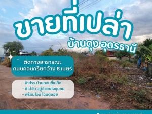 ขายที่ดินดอนขี้เหล็กบ้านดุง ติดทางสาธารณะถนนคอนกรีตกว้าง 8 ม.   .