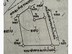 ขาย ที่ดิน สากเหล็ก พิจิตร 6-0-42 ตร.ว.