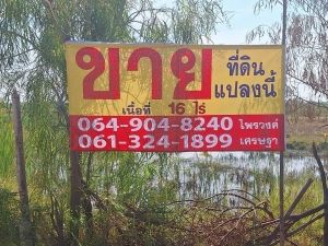 ขายที่ดินเปล่า 16 ไร่ ราคาพิเศษ ไร่ละแสน ต.กุดพิมาน ด่านขุนทด  .