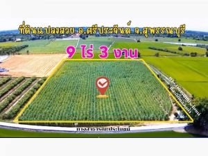 ที่ดิน ต.ดอนปรู อ.ศรีประจันต์ จ.สุพรรณบุรี  .