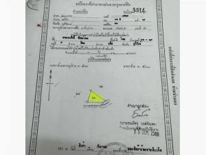 ขายด่วนที่ดิน ขนาดพิ้นที่  รวม  3  แปลงเป็น  น.ส. 3  ก   .