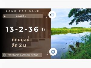 ขายด่วน ที่ดินคลองสะแก อ.นครหลวง อยุธยา เนื้อที่ 13-2-36 ไร่   .