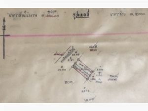 ขายที่ดินไทรน้อย 200 ตร.ว.ถมแล้ว ใกล้ อบต.ไทรน้อย นนทบุรี  .