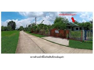 ขายบ้านเดี่ยวมือสอง อำเภอเมืองสุรินทร์  จังหวัดสุรินทร์   .