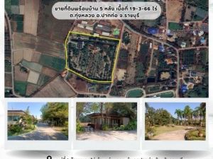 ขายที่ดินพร้อมบ้าน เนื้อที่ 19-3-66 ไร่ ต.ทุ่งหลวง อ.ปากท่อ ราชบุรี: aa00000600370