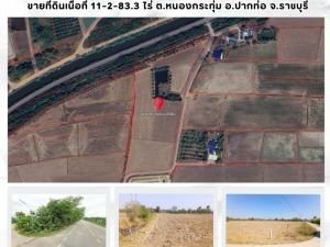 ขายที่ดินติดถนน เนื้อที่ 11-2-83.3 ไร่ ต.หนองกระทุ่ม อ.ปากท่อ จ.ราชบุรี: aa00000600373