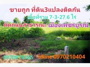 ขาย ที่ดิน เมืองเพชรบูรณ์ 7 ไร่ 3 งาน 27.6 ตร.วา ติดถนนสาธารณะ เหมาะทำบ้านสวนเกษตร: aa00000600380