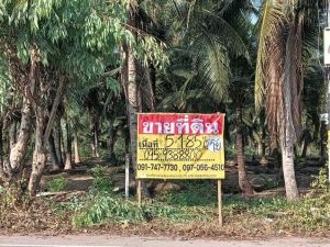 ที่ดินสวย สวนมะพร้าว  5-1-85 ไร่ ติดถนน 2ด้าน  ลาดใหญ่ สมุทรสงครา  .