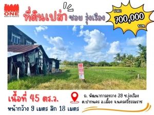 ที่ดินเปล่า ลงทุนง่าย กำไรพุ่ง ราคาดีที่สุดในโซนนี้  .