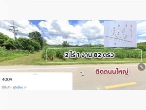 ขายที่ดิน ตำบลศรีสองรัก เมืองเลย  2ไร่ 1งาน 82 ตรว.  .