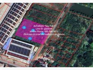 ขายที่ดินเปล่า ราคาดี (ผังสีเหลือง) ซ.อ่อนนุช 80 แยก 5 (360 ตร.ว.  .